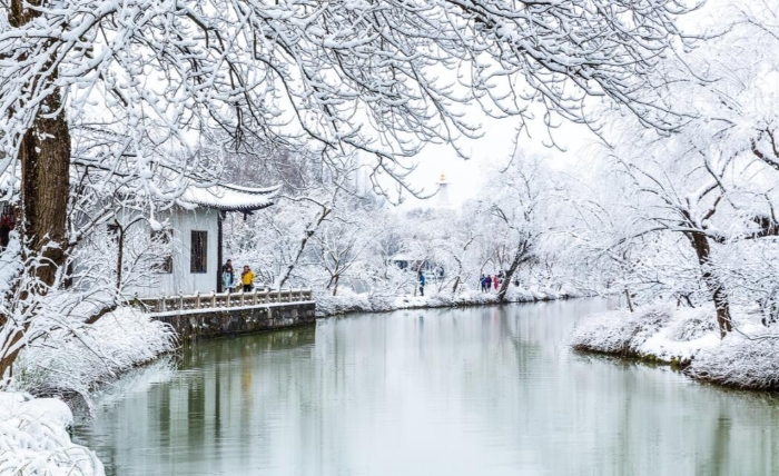 QQ截图20190219114525