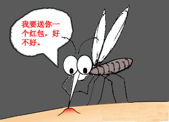 蚊虫是如何发现叮咬目标的?O型血更受蚊子青睐吗