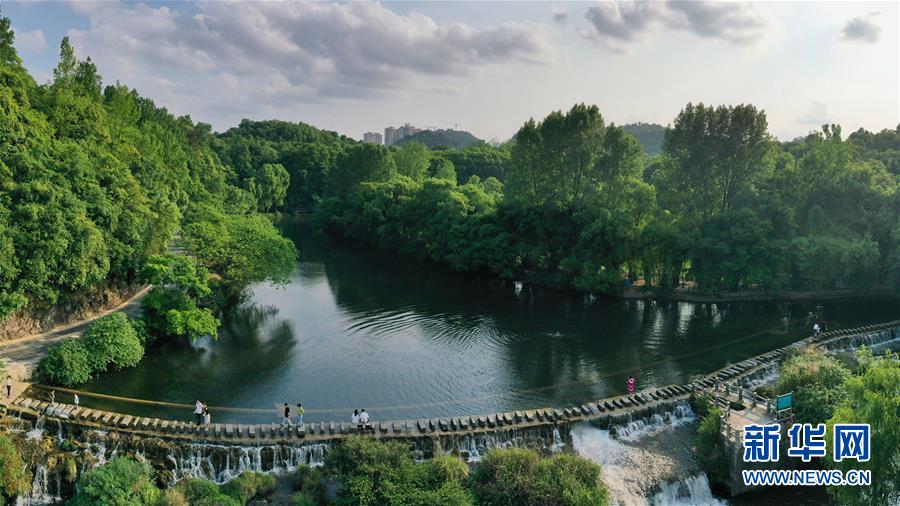 这是5月19日拍摄的贵阳市花溪国家城市湿地公园黄金大道（无人机照片）。 近日，贵州省贵阳市花溪国家城市湿地公园黄金大道绿意盎然，美景如画。 新华社记者 欧东衢 摄