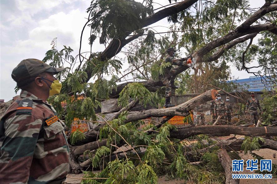 5月24日，在印度加尔各答，军事人员清理一处倒下的树木。 特强气旋风暴“安攀”本周早些时候重创印度西孟加拉邦，政府正在组织灾区清理，以恢复正常生活。 新华社发