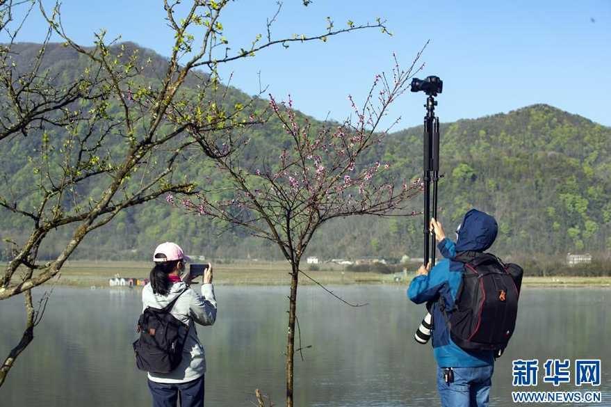 5月3日，摄影爱好者在湖北神农架大九湖景区拍摄。 “五一”假期，人们走出家门，亲近自然，放松身心，享受假期休闲时光。 新华社发（文振效 摄）