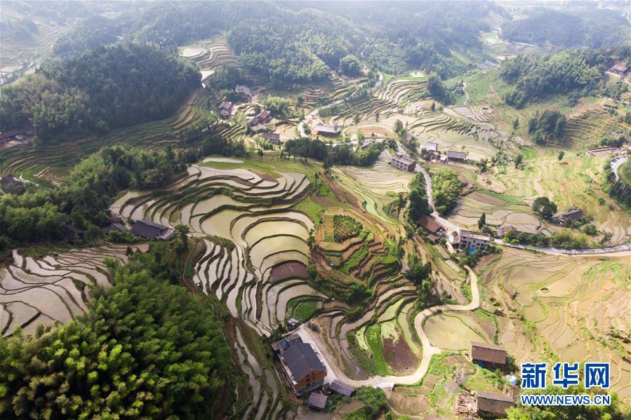 这是5月30日在湖南省新化县水车镇拍摄的紫鹊界梯田（无人机照片）。 新华社发（陈思汗 摄）