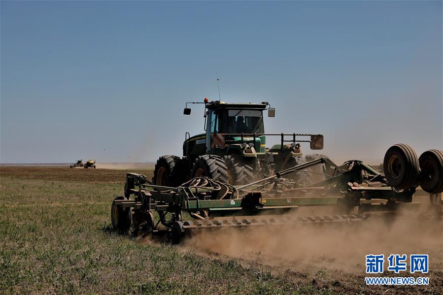 5月30日，在哈萨克斯坦阿克莫拉州阿克莫尔村，农民进行小麦春播作业（无人机照片）。 近日，哈萨克斯坦各地进入春耕时节。 新华社发（奥斯潘诺夫摄）