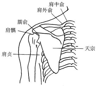 颈椎不舒服可别再拖了，这8种按摩法教给你，远离颈椎病