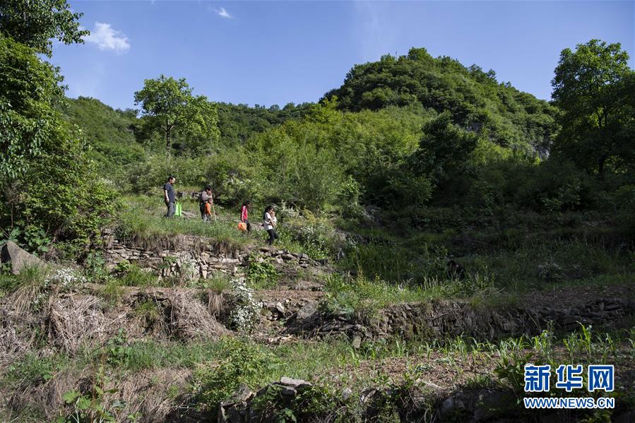 在南背村，秦春兰（右二）、秦秋兰（右三）和秦兴旺（左三）和老师们走在回家的山路上（5月31日摄）。 新华社记者 杨晨光 摄