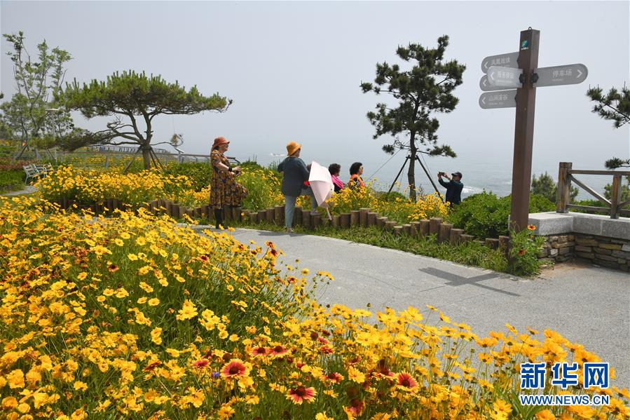6月3日，游客在青岛西海岸新区东环岛路沿线游玩、拍照。 新华社记者 李紫恒 摄