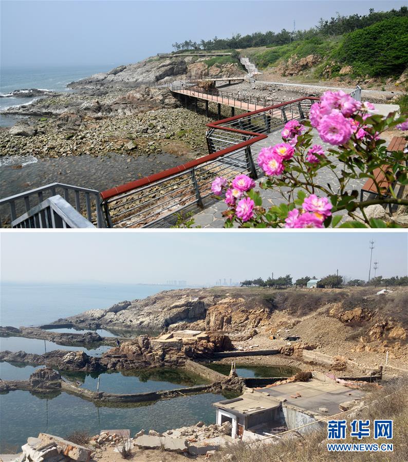 拼版照片：上图为6月3日在青岛西海岸新区东环岛路“竹岛远眺”景点拍摄的滨海栈道（新华社记者李紫恒摄）；下图为改建前此地是一处违章海参养殖点，海水养殖污染严重（资料照片）。 新华社发