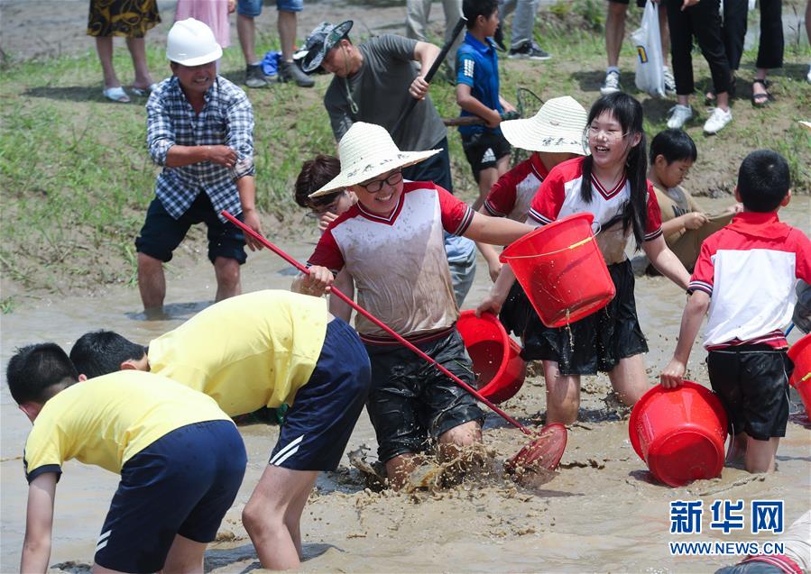 6月7日，孩子和家长们参加浑水摸鱼趣味活动。新华社记者 徐昱 摄