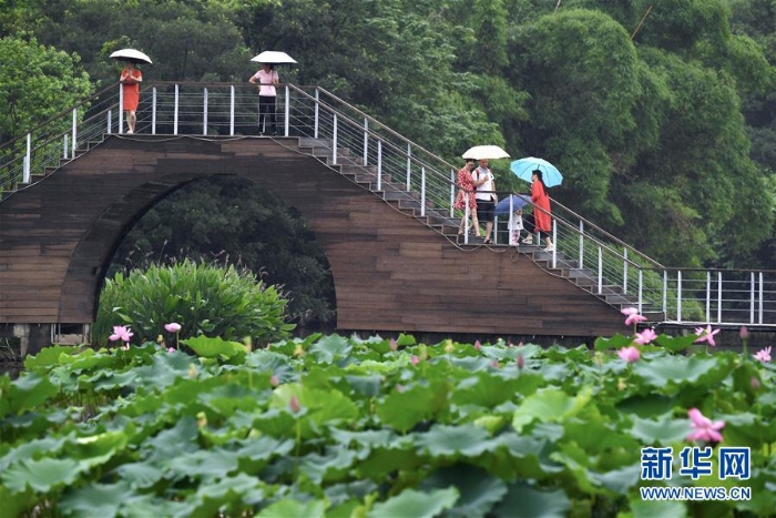 （新华视界）（4）福州：雨荷