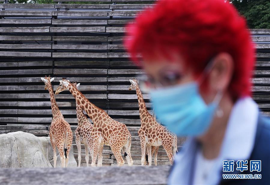 6月9日，游客在法国巴黎动物园内参观。 受新冠疫情影响关闭了近3个月的巴黎动物园于8日重新开放。 新华社记者 高静 摄