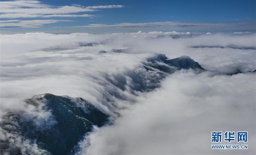 6月10日拍摄的汉中市南郑区龙头山景区的云海景观（无人机照片）。雨后初霁，川陕交界的陕西省汉中市南郑区龙头山旅游景区云海涌动，风光迷人。 新华社记者 陶明 摄