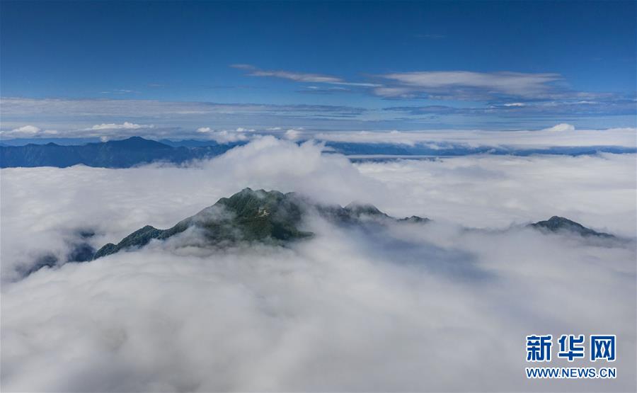 6月10日拍摄的汉中市南郑区龙头山景区的云海景观（无人机照片）。 新华社记者 陶明 摄