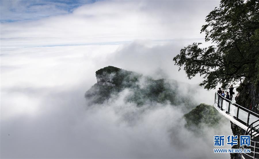 6月10日拍摄的汉中市南郑区龙头山景区的云海景观（无人机照片）。 新华社记者 陶明 摄