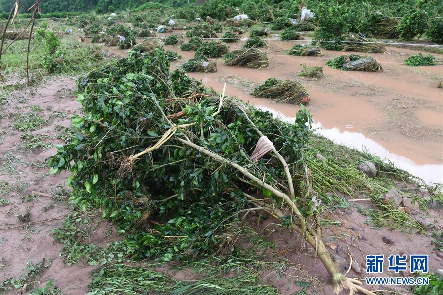 （环境）（6）广西多地遭受严重洪涝灾害