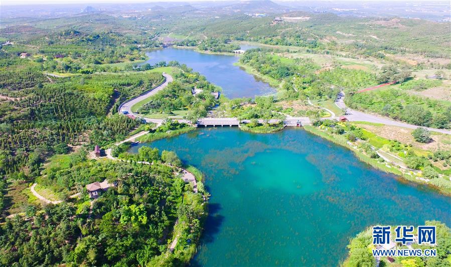 6月14日拍摄的河北省邯郸市丛台区紫山生态涵养区（无人机照片）。 新华社记者 朱旭东 摄