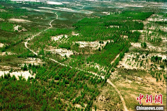 国家林草局：“十三五”以来防沙治沙800万公顷