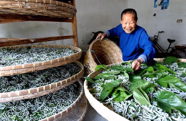 列举18项中国非物质文化遗产，国人值得珍藏！