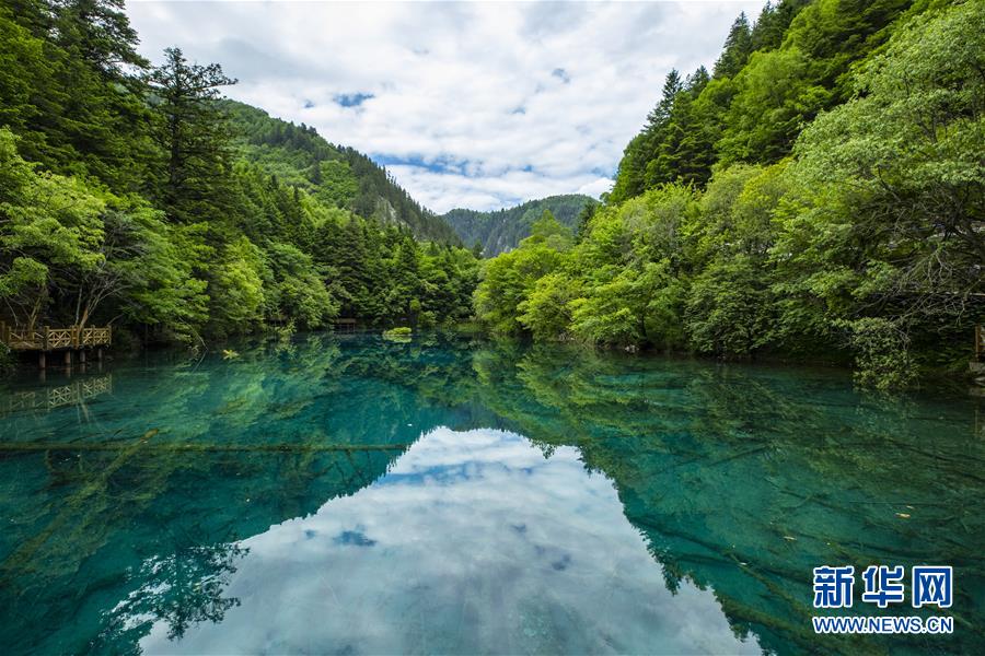(环境)(6)大美阿坝 生态家园