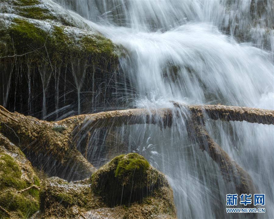 (环境)(10)大美阿坝 生态家园