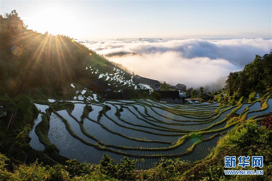 这是在湖南省新化县拍摄的紫鹊界梯田（5月30日摄）。新华社发（陈思汗 摄）