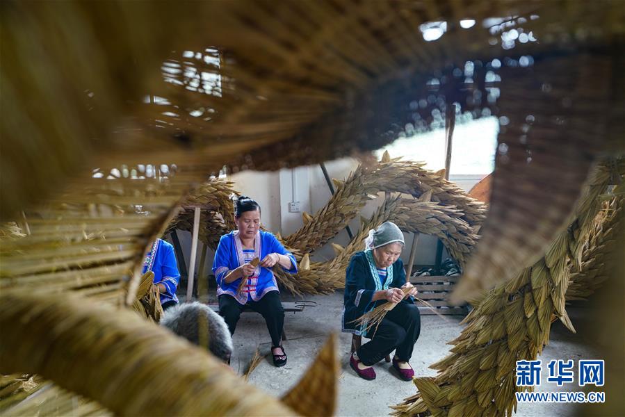 6月23日，在广西龙胜各族自治县平等镇广南侗寨，村民在整理刚刚编织好的草龙。 端午节临近，在广西龙胜各族自治县平等镇广南侗寨，侗族同胞赶制草龙迎接传统佳节。编织草龙是当地侗族一项独特的民间技艺，每逢重大节庆，侗族同胞都有舞草龙祈福的习俗。草龙以稻草为主要材料，辅以竹木做支架，采用编、插、嵌、剔、镂等十多种工艺，整条草龙用100多斤、数万根稻草编成，做工精细，惟妙惟肖。 新华社发（黄勇丹 摄）