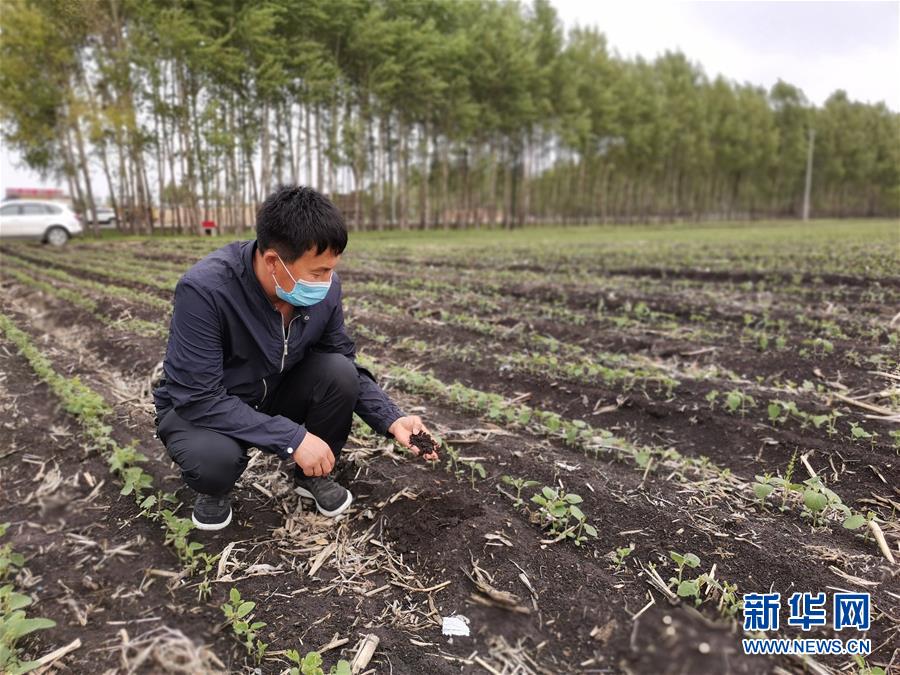 （在习近平新时代中国特色社会主义思想指引下/—/—新时代新作为新篇章·习近平总书记关切事·图文互动）（6）让每一寸耕地都成为丰收的沃土/—/—我国加强耕地保护推进/“藏粮于地/”