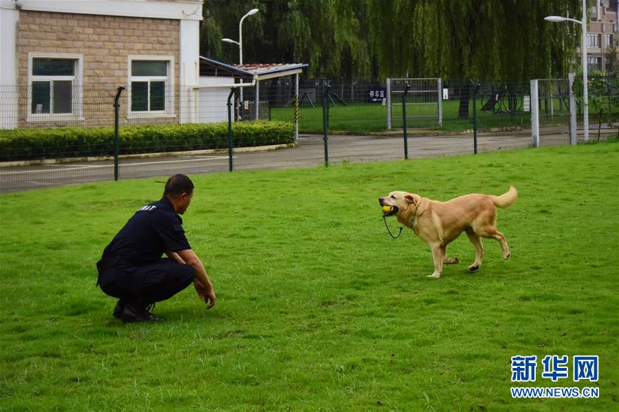 6月24日，训导员周吉荣和缉毒犬“多多”在训练场上互动。 新华社记者 郑梦雨 摄