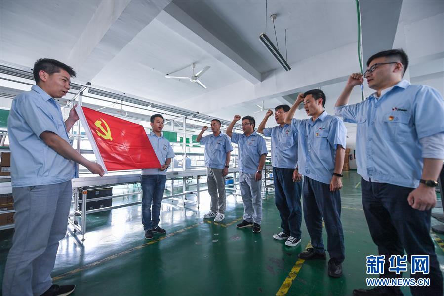 (社会)(1)杭州临安:主题党日活动迎“七一”