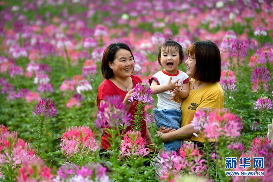 7月1日，市民在位于留坝县城的金水湾花海游玩。 近日，陕西省汉中市留坝县金水湾花海的各类鲜花次第绽放，绚丽缤纷。 新华社记者 刘潇 摄