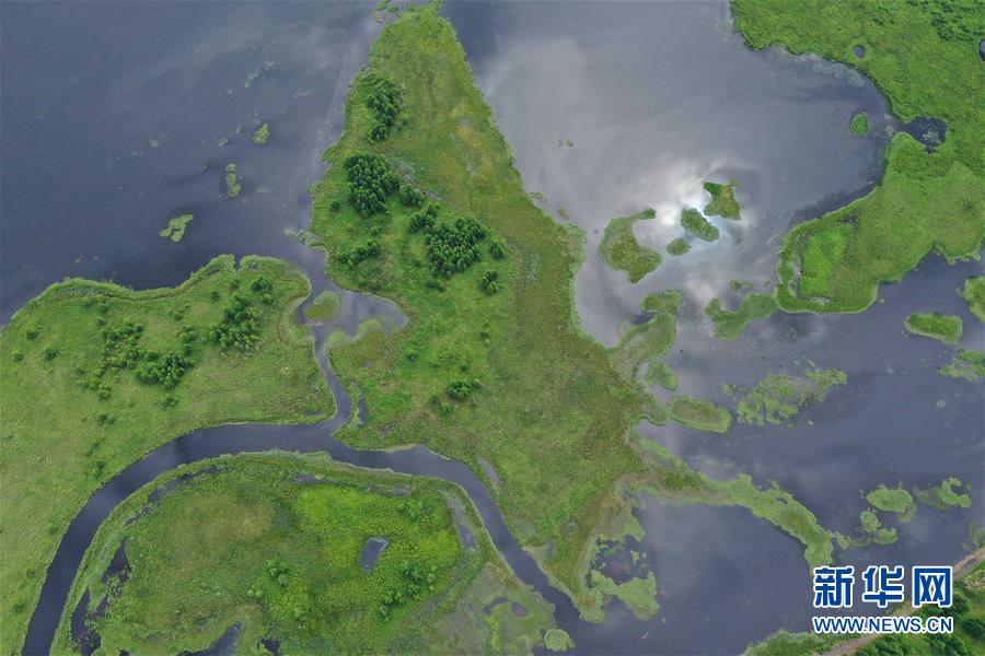 (美丽中国)(2)阿尔山夏日美景