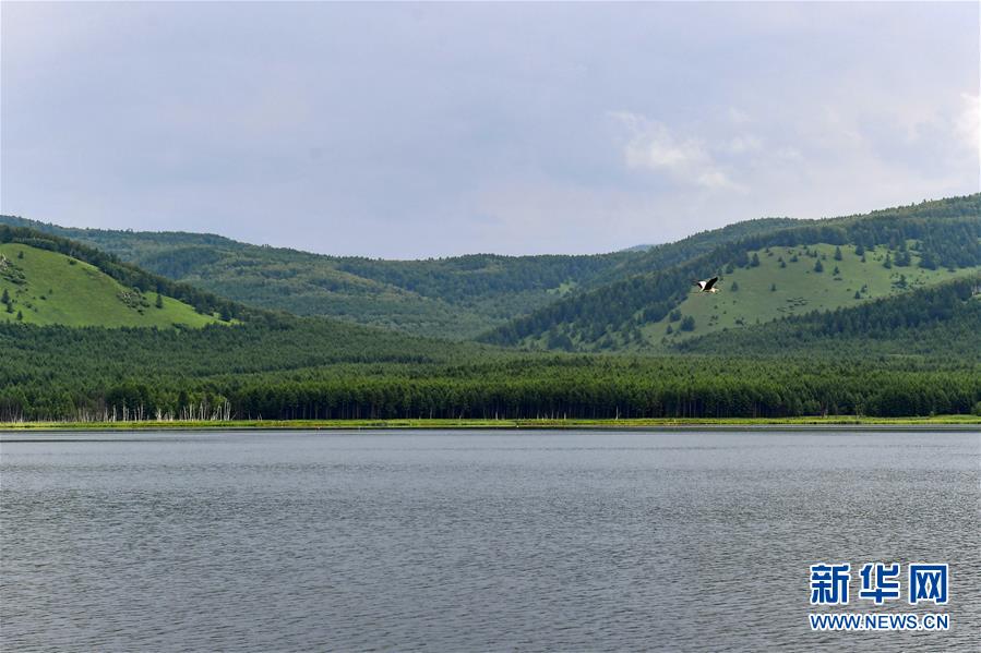 (美丽中国)(5)阿尔山夏日美景