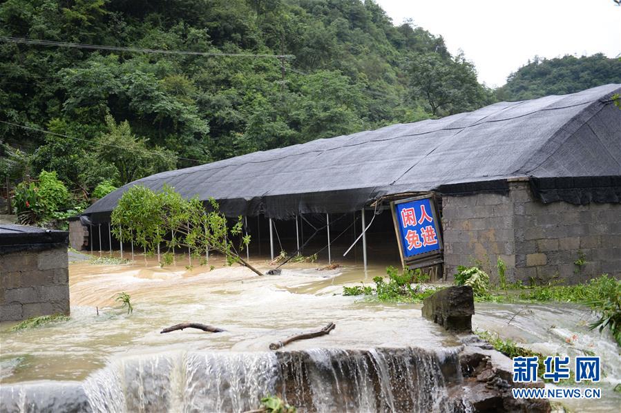 7月6日，在澧县甘溪滩镇，一处养殖场遭受洪水侵袭。 近日，湖南省常德市澧县出现强降雨天气，造成部分地区农田被淹。 新华社发（陈振海 摄）