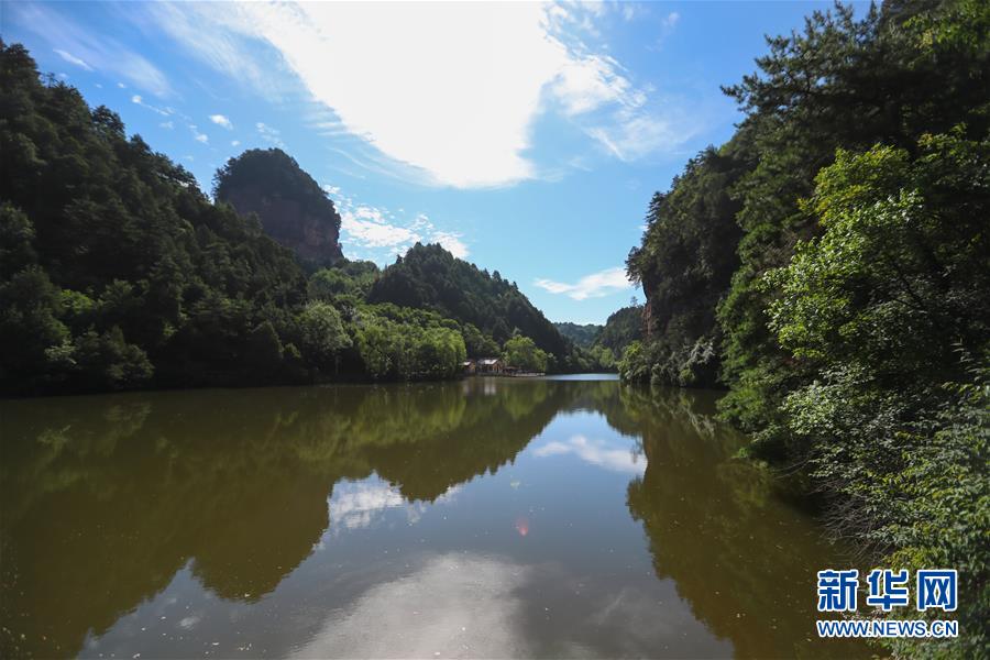 这是7月7日拍摄的甘肃省天水市麦积山风景区仙人崖一景。 位于甘肃省天水市麦积山风景区的仙人崖古树郁郁葱葱，水色静谧秀美。这里夏季气候凉爽，不少游客前来避暑乘凉。 新华社发（马希平 摄）