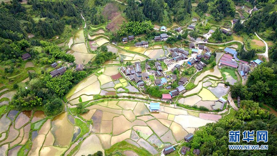 这是6月4日拍摄的贵州省榕江县仁里乡太元村田园景色（无人机照片）。 新华社发（王炳真 摄）