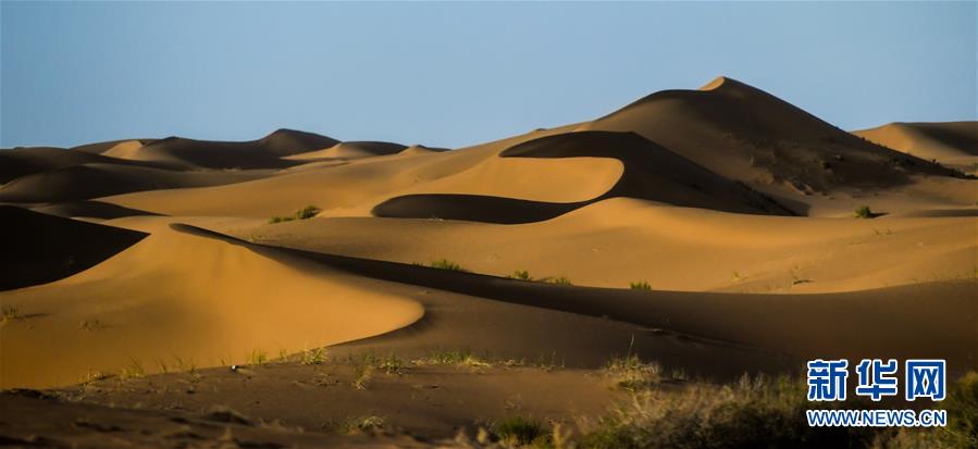 这是7月8日拍摄的腾格里沙漠风光。 位于内蒙古自治区阿拉善左旗西南部和甘肃省中部边境的腾格里沙漠是我国第四大沙漠，总面积约为4.3万平方公里。夏日傍晚，腾格里沙漠连绵的沙丘被日光勾勒出美丽的线条，美不胜收。 新华社记者 连振 摄