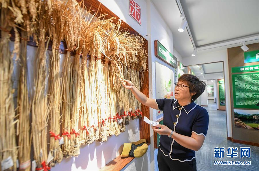 7月9日，管延丽在柳河火山岩稻米展馆介绍水稻样品。 今年53岁的管延丽是“大米姐”品牌创始人，她的家通化市柳河县位于吉林省东部、长白山余脉。这里地下是富含硒元素的火山岩。2011年，在相关专家的技术支持下，管延丽成功培育出新的富硒米品种，并于次年创立“大米姐”品牌。