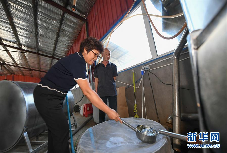 7月9日，管延丽在米酒生产车间展示新酿的米酒。新华社记者 林宏 摄