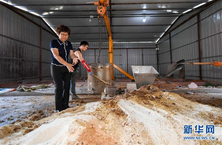 7月9日，管延丽在米酒生产车间指导工人作业。新华社记者 林宏 摄