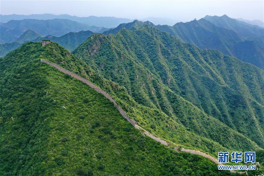 这是7月13日拍摄的河北省迁安市红峪口长城（无人机照片）。 盛夏时节，位于河北省迁安市的红峪口长城两侧树木葱郁。巍峨的长城与连绵的山岭相映衬，风光壮美。 新华社记者 牟宇 摄
