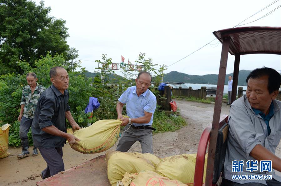 7月13日，张贵来在会宫村巡查堤坝（无人机照片）。 新华社记者 黄博涵 摄