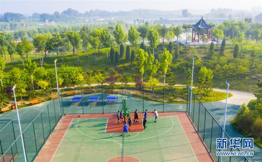 7月20日，市民在河北省武邑县观津公园内健身（无人机照片）。 新华社记者 李晓果 摄