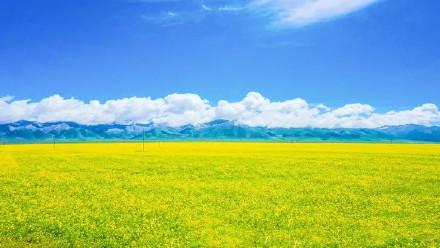 中国十大最美旅游地,你打卡了几个?