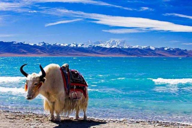 中国十大最美旅游地,你打卡了几个?