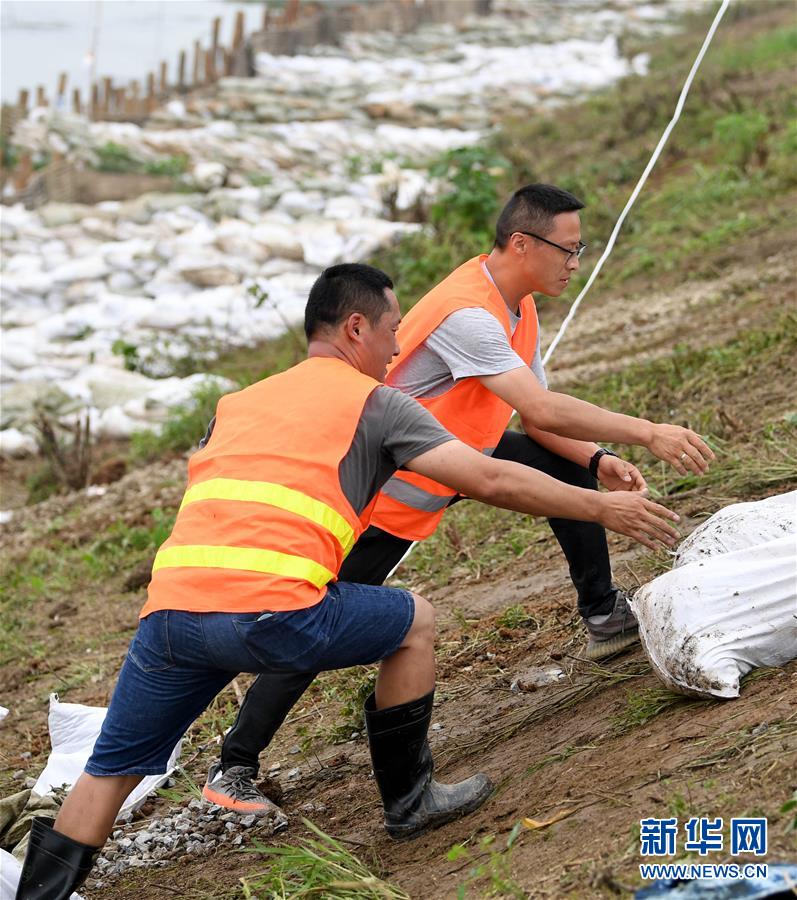 7月21日，在和县乌江镇石跋河新圩段，救援人员在运送抢险物资。 受洪水影响，安徽省和县乌江镇石跋河新圩段出现100多米的堤坝滑坡、塌方险情。因出现险情一侧堤坝无道路可通行，抢险所用的砂石、木料等物资需要从石跋河对岸“摆渡”过来。救援抢险人员携手“接力”转运抗洪物资，共同奋战2天，成功排除险情。 新华社记者 刘军喜 摄