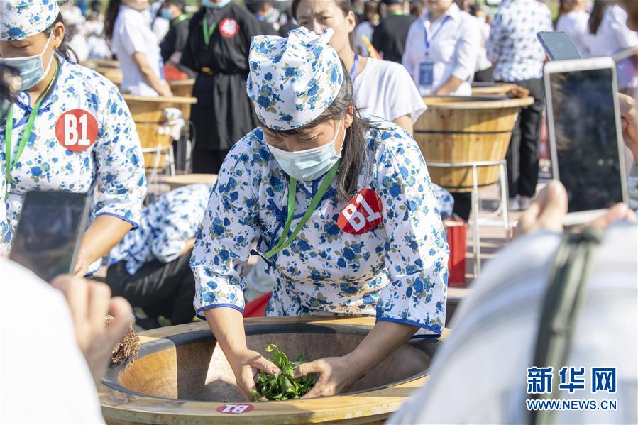 （社会）（2）斗茶艺 赛茶香