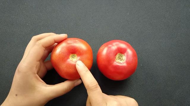 买西红柿要挑选“母”的，顶部看一眼就能辨出，沙甜又多汁