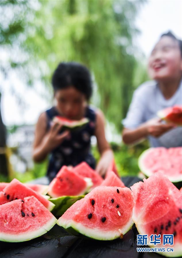 7月22日，庙兜村的孩子们在比赛吃西瓜。 当日是大暑节气，浙江省湖州市吴兴区织里镇庙兜村举行了趣味“赛西瓜”比赛，迎接这个“火热”的节气。庙兜村种植有500多亩西瓜，目前正值西瓜丰收的时节，村民们用“赛西瓜”的形式，感受丰收的喜悦。 新华社记者 徐昱 摄