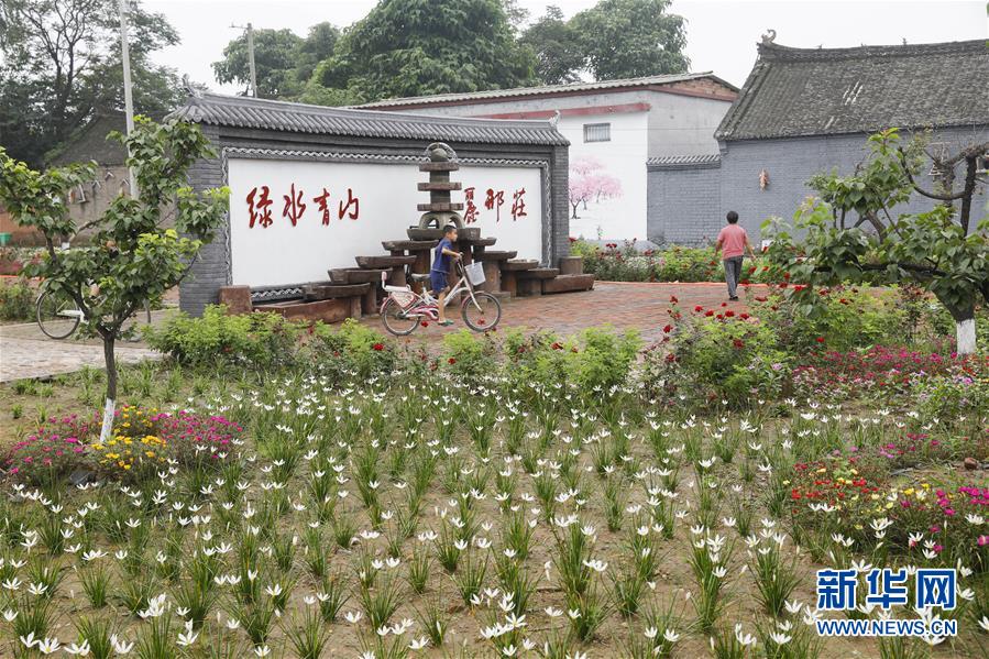 7月27日，一名小朋友在平顶山市宝丰县石桥镇邢庄村骑自行车。 夏日时节，河南省平顶山市宝丰县石桥镇邢庄村花香四溢，绿树成荫。邢庄村是宝丰县一个以酿酒闻名的村庄。近几年，当地按照宝丰县推进美丽乡村建设的要求，增建公共设施，改善村容村貌，美化人居环境，展现出一幅秀美的乡村画卷。 新华社发（何五昌 摄）