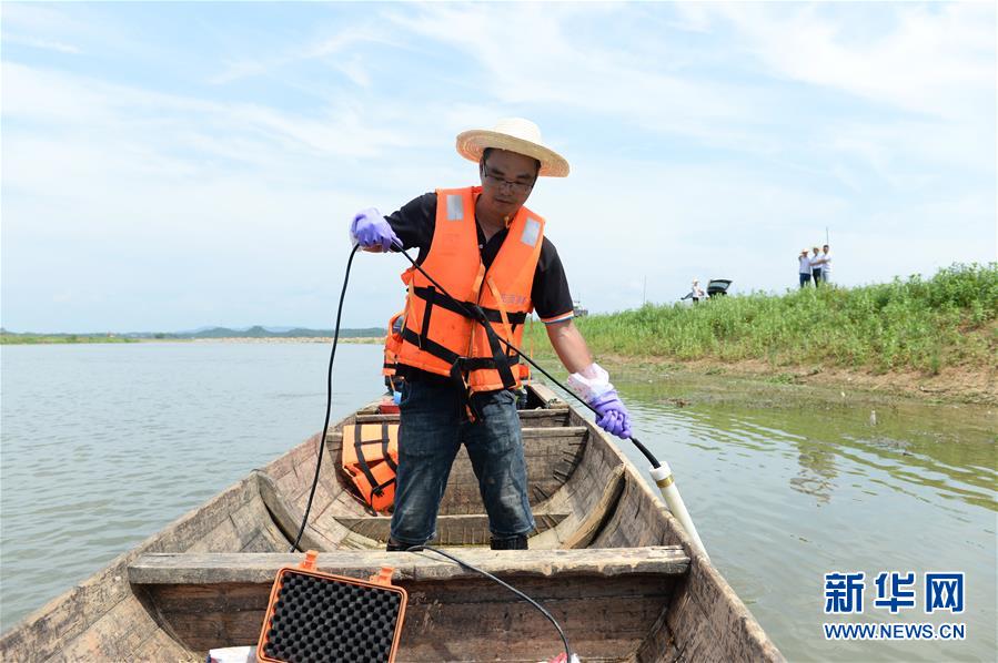 7月28日，在临湘市聂市镇毛湾垸，工作人员通过检测仪查看是否出现管涌情况。新华社发（陈振海摄）