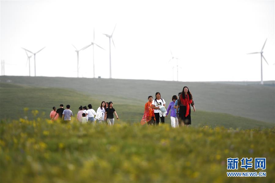 7月30日，游客在辉腾锡勒（黄花沟）草原旅游区游玩。新华社记者 刘磊 摄